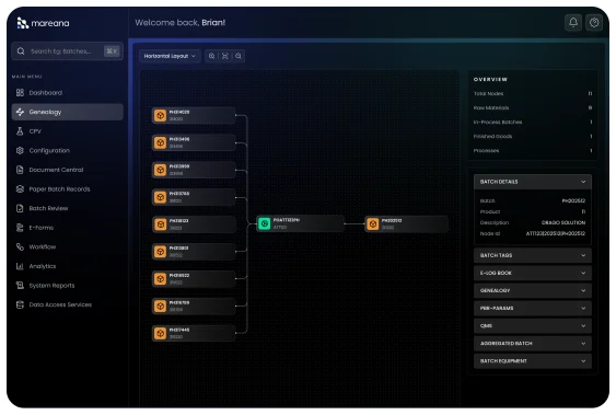 Understand Batch Genealogy Instantly
