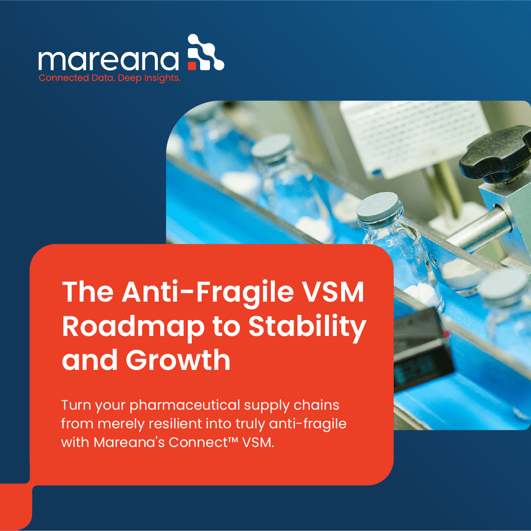 The-Anti-Fragile-VSM-Roadmap-to-Stability-and-Growth