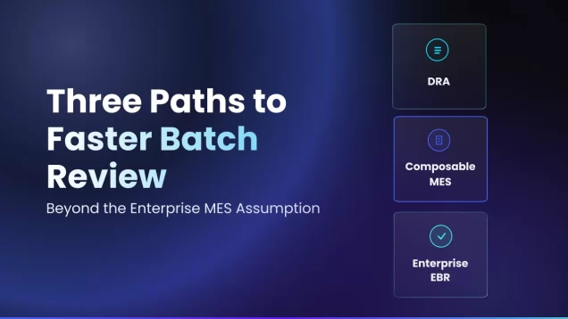 Three Paths to Faster Batch Review